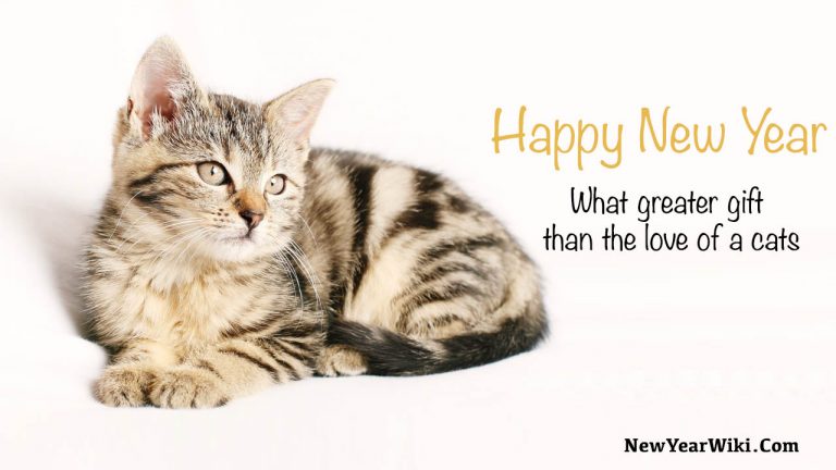 Happy New Year Kitten Photos 2024: New Year Kitten Images - New Year Wiki