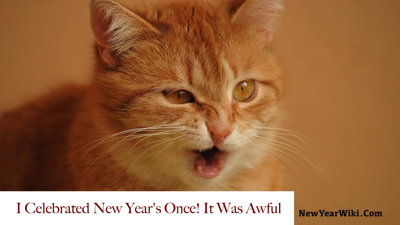 Happy New Year Cat Memes