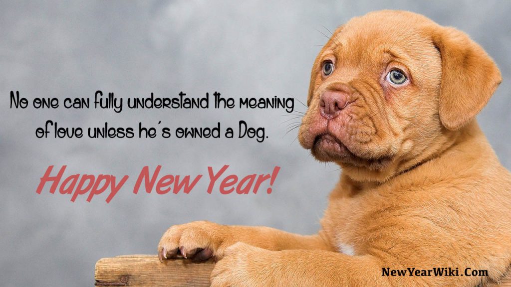 Happy New Year Dog Pictures: New Year 2024 Puppy Images - New Year Wiki