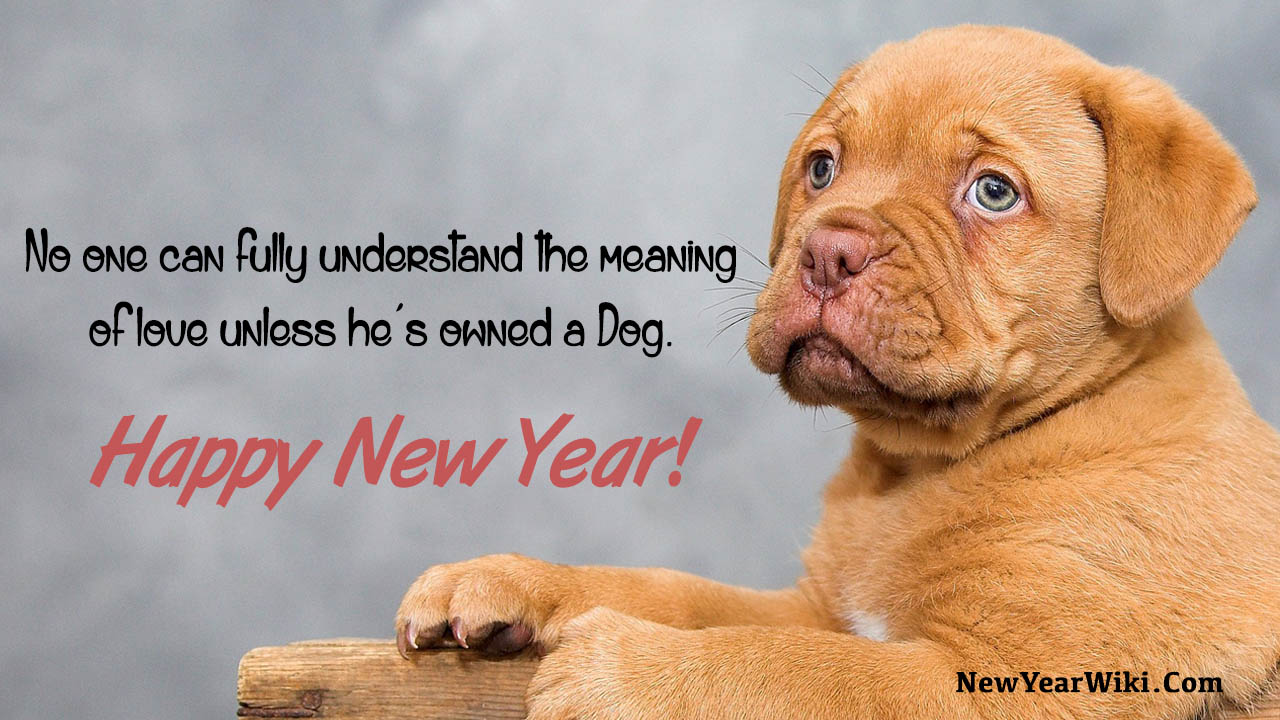 Happy New Year Dog Images