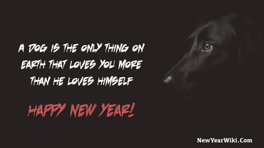 Happy New Year Dog Pictures: New Year 2024 Puppy Images - New Year Wiki