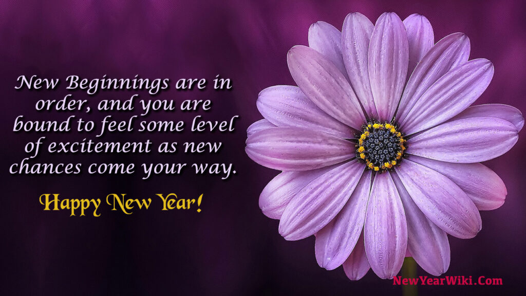 New Year New You Quotes