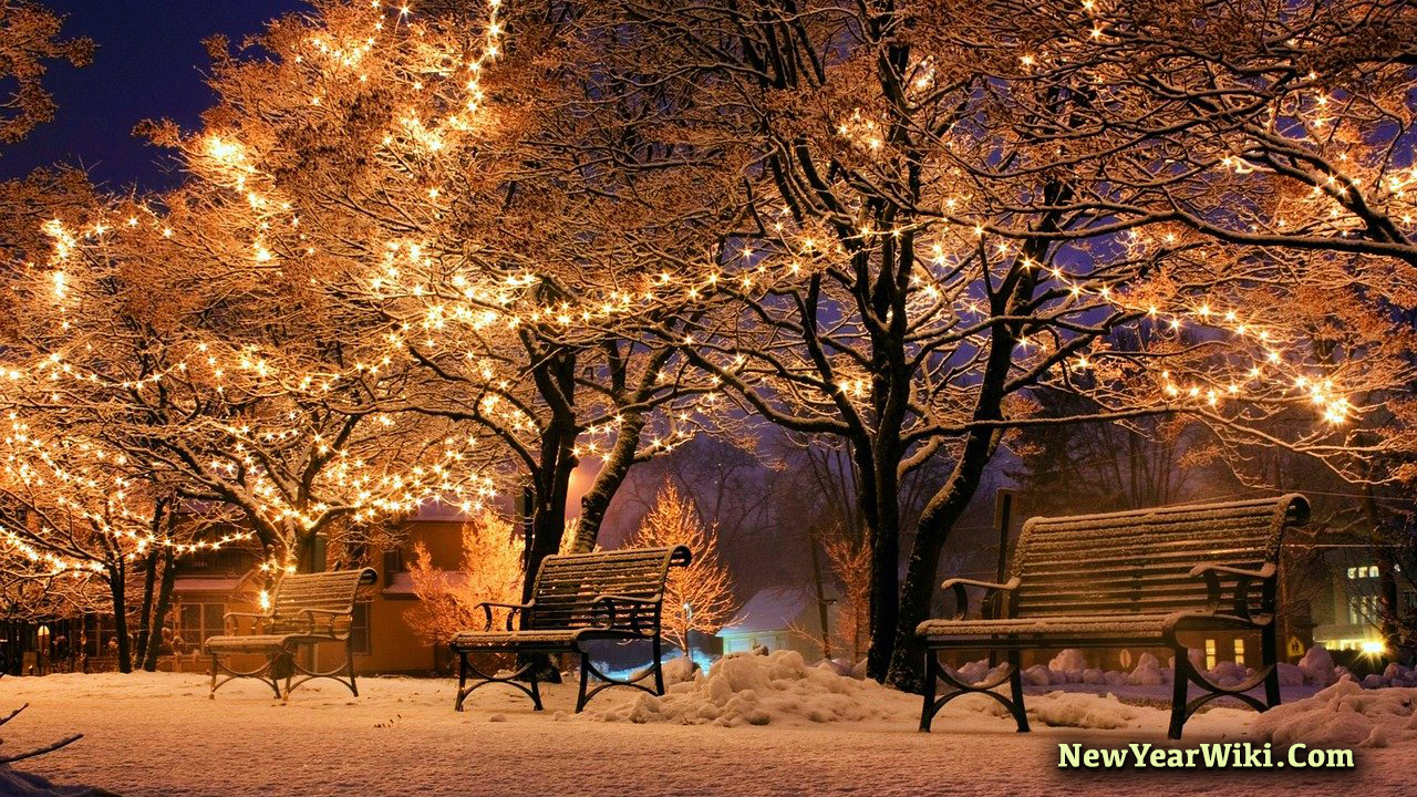 Solar Powered Christmas Lights